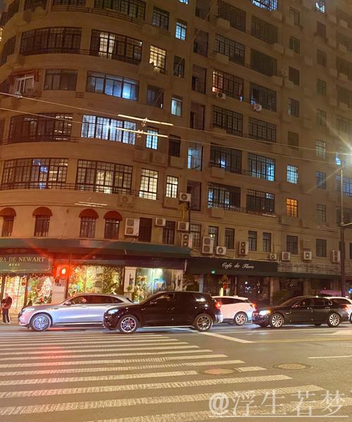 圣诞将至，国外邻居们的节日装饰执念